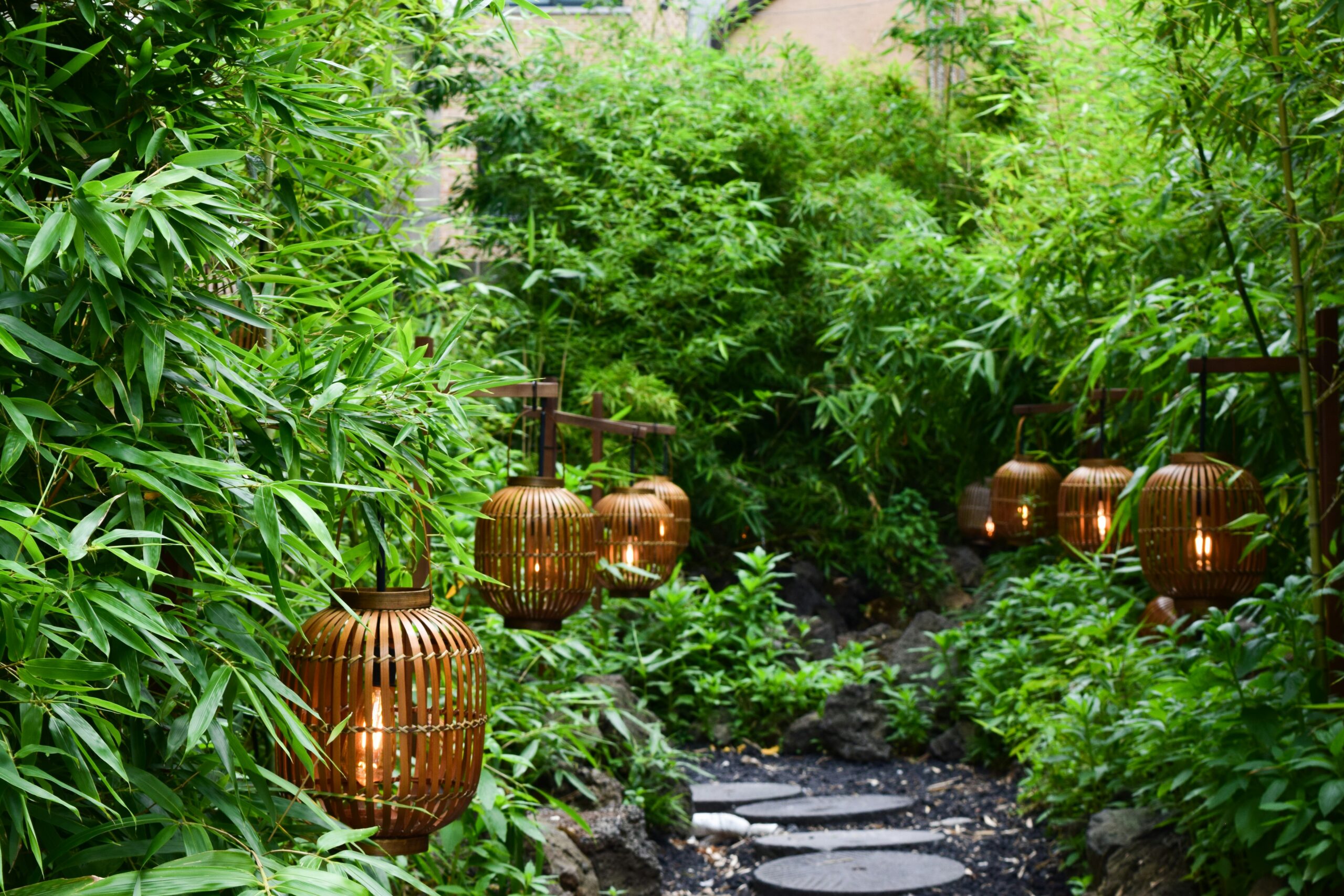 a-garden-with-plants-and-pots-scaled Home